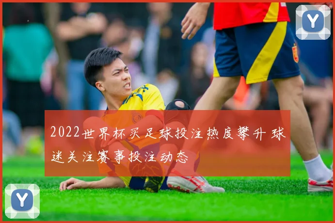 2022世界杯买足球投注热度攀升 球迷关注赛事投注动态